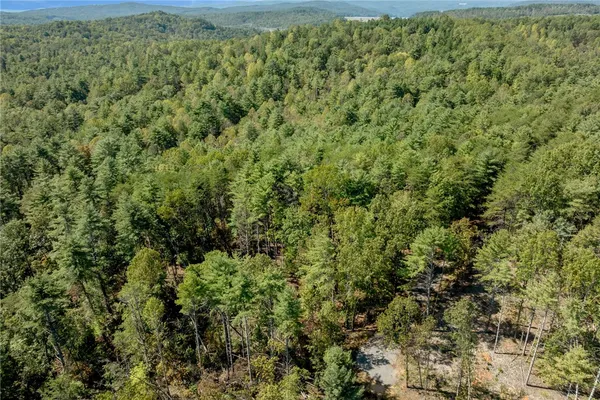 $100,000 | 106 Sweetshrub Court, Sunset, SC 29685