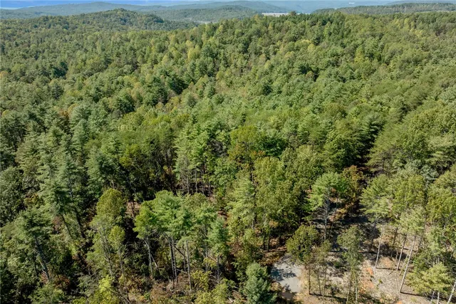 $100,000 | 106 Sweetshrub Court, Sunset, SC 29685