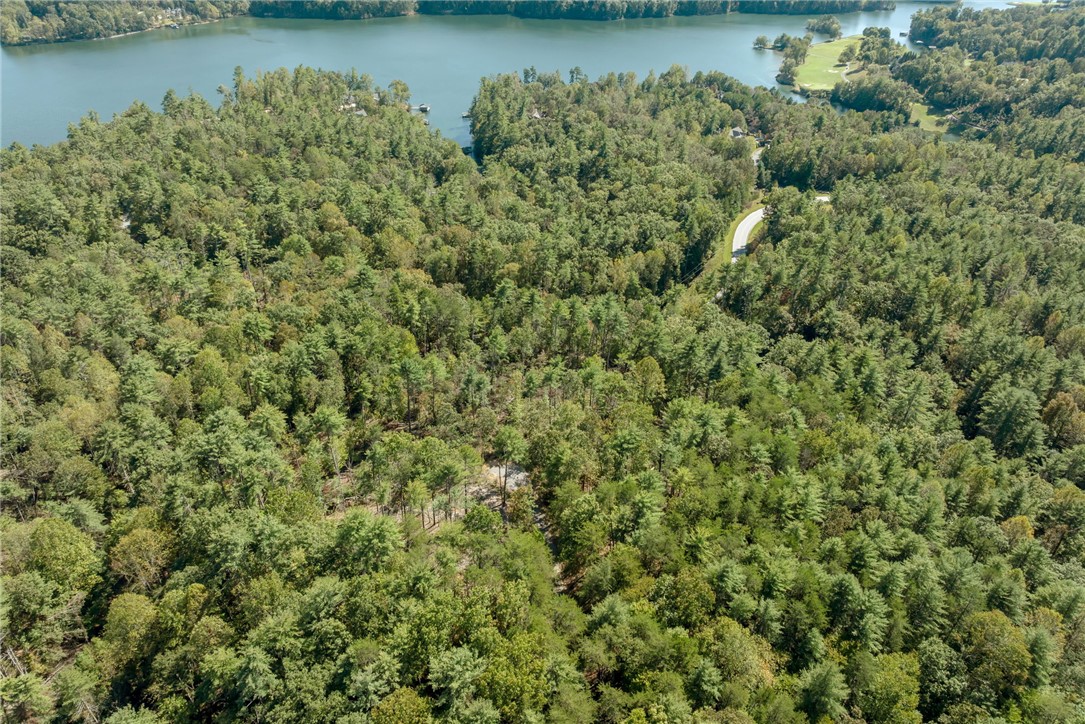 106 Sweetshrub Court Sunset, SC 29685 - Photo 18 of 20