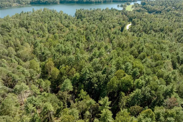 $100,000 | 106 Sweetshrub Court, Sunset, SC 29685