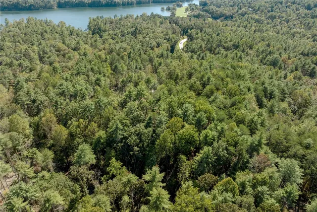 $100,000 | 106 Sweetshrub Court, Sunset, SC 29685