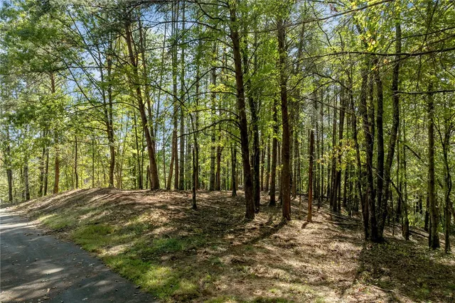 $100,000 | 106 Sweetshrub Court, Sunset, SC 29685