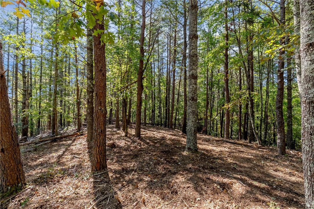 106 Sweetshrub Court Sunset, SC 29685 - Photo 3 of 20