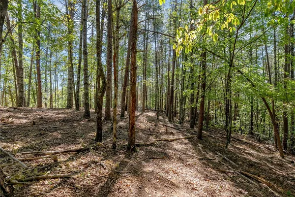 $100,000 | 106 Sweetshrub Court, Sunset, SC 29685