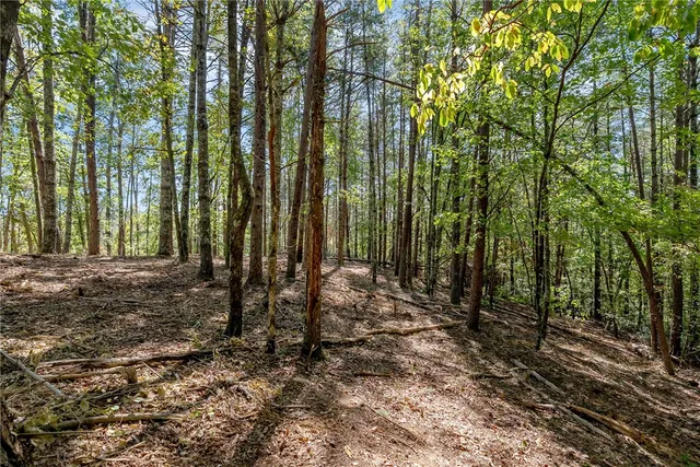 $100,000 | 106 Sweetshrub Court, Sunset, SC 29685