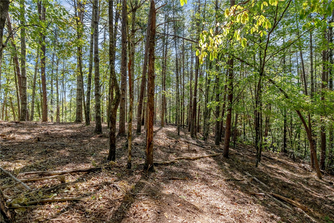 106 Sweetshrub Court Sunset, SC 29685 - Photo 4 of 20