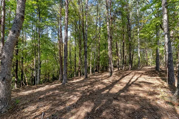 $100,000 | 106 Sweetshrub Court, Sunset, SC 29685