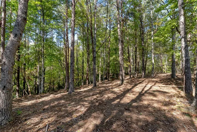 $100,000 | 106 Sweetshrub Court, Sunset, SC 29685