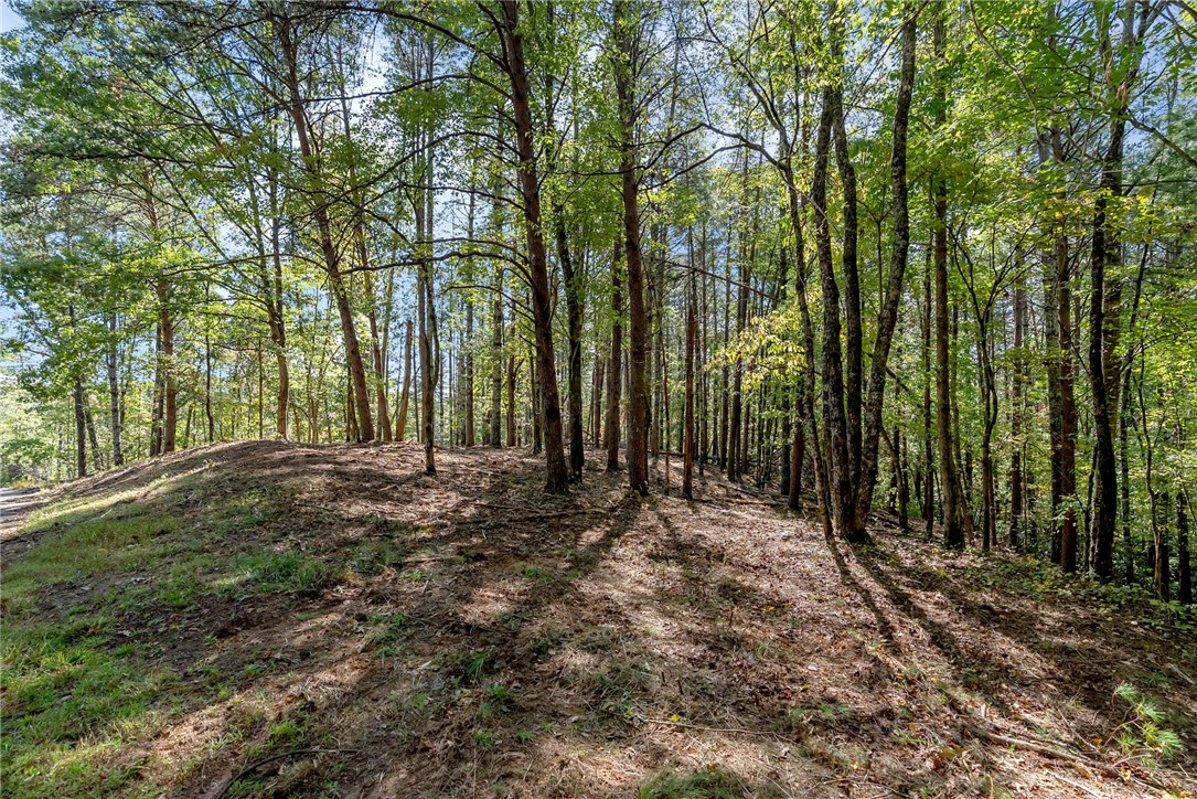 106 Sweetshrub Court Sunset, SC 29685 - Photo 6 of 20