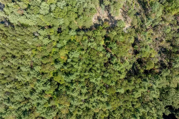 $100,000 | 106 Sweetshrub Court, Sunset, SC 29685