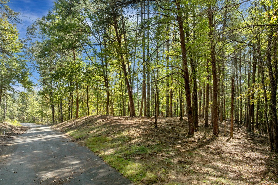 106 Sweetshrub Court Sunset, SC 29685 - Photo 8 of 20