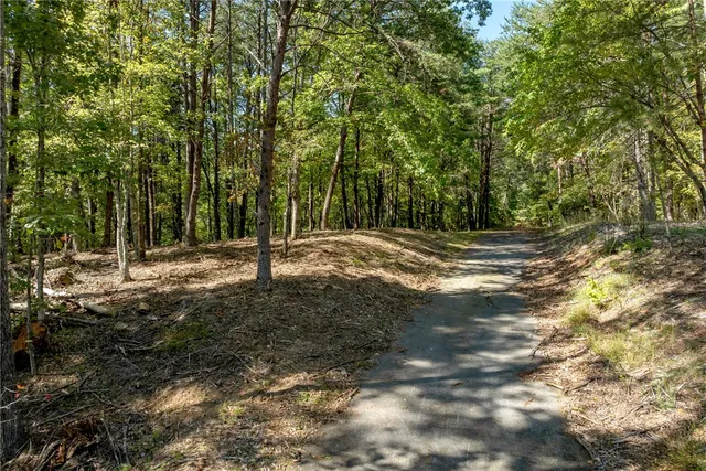 $100,000 | 106 Sweetshrub Court, Sunset, SC 29685