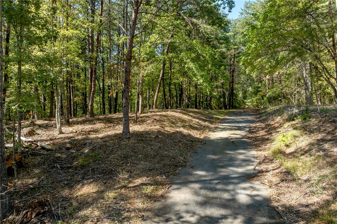 106 Sweetshrub Court Sunset, SC 29685 - Photo 9 of 20