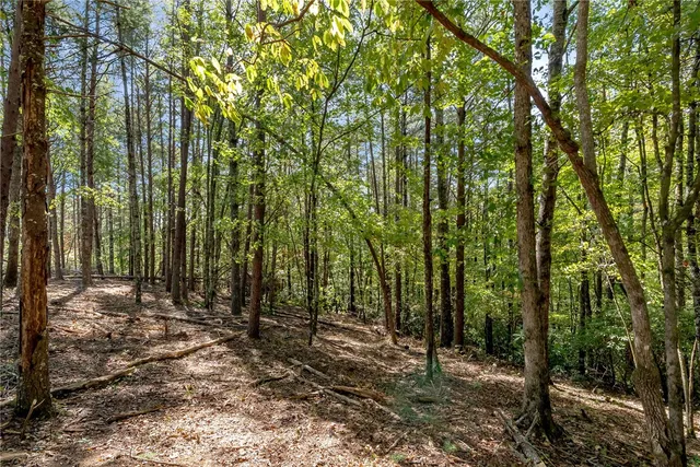 $100,000 | 106 Sweetshrub Court, Sunset, SC 29685