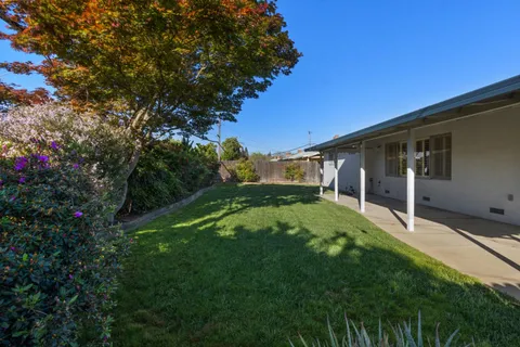 a backyard of a house with plants and large tree