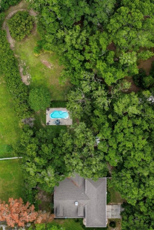 4370 Southeast 26th Terrace Road Ocala, FL 34480 - Photo 6 of 20