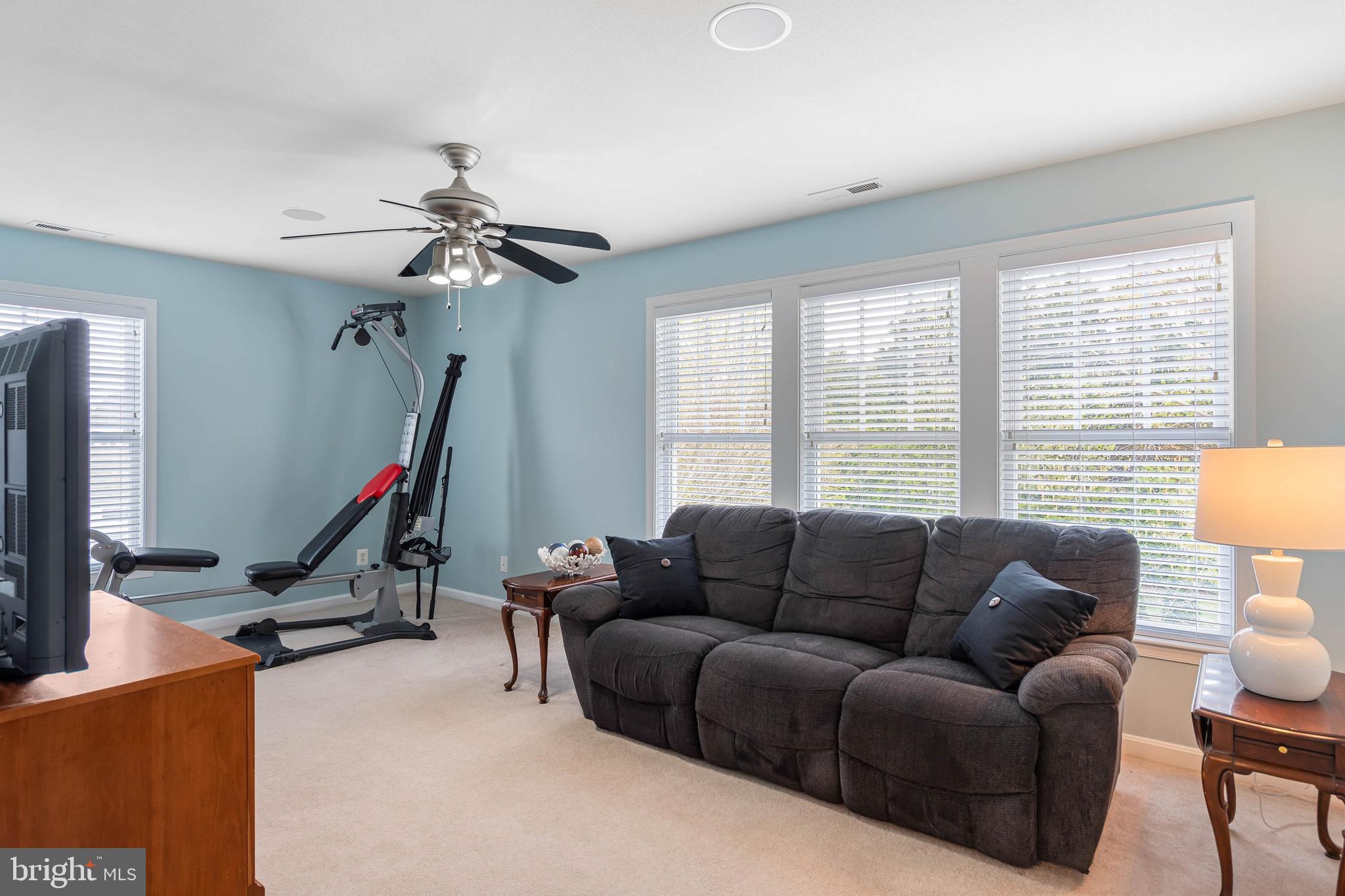 20718 Annondell Drive Lewes, DE 19958 - Photo 34 of 46 a living room with furniture a projector and a window
