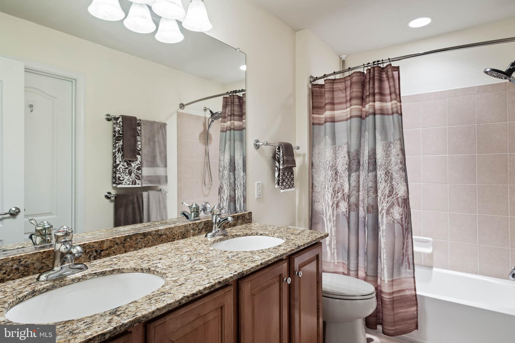 20718 Annondell Drive Lewes, DE 19958 - Photo 41 of 46 a bathroom with a granite countertop sink a toilet a mirror a vanity and shower
