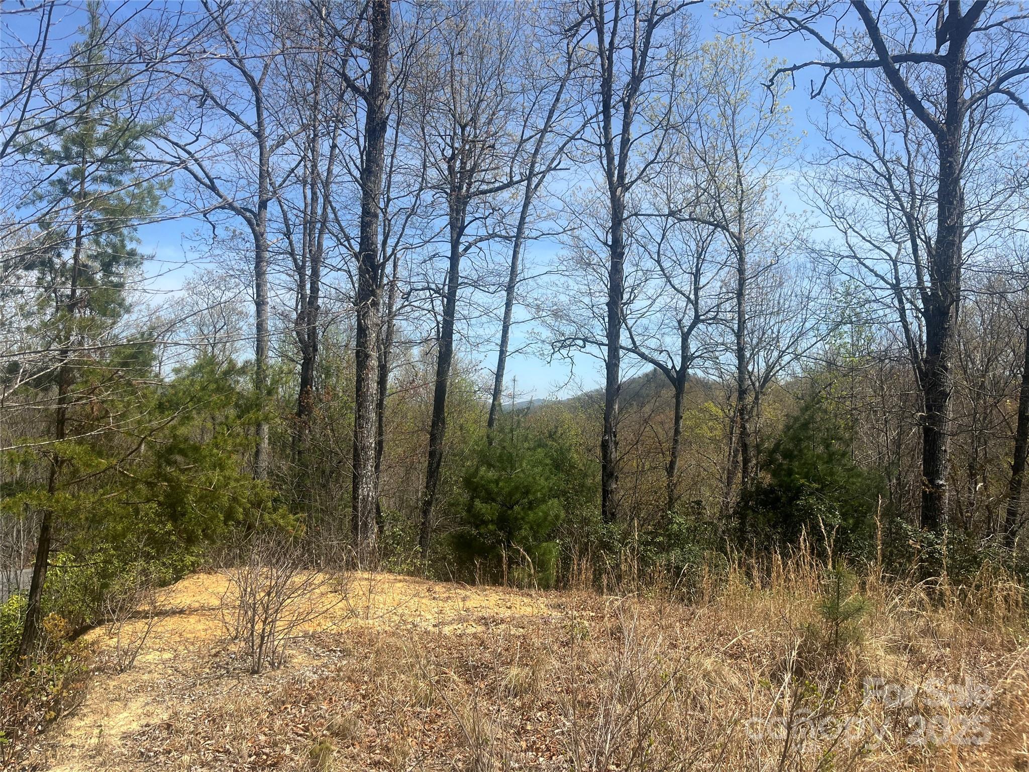 32 Wild Iris Road Brevard, NC 28712 - Photo 1 of 8