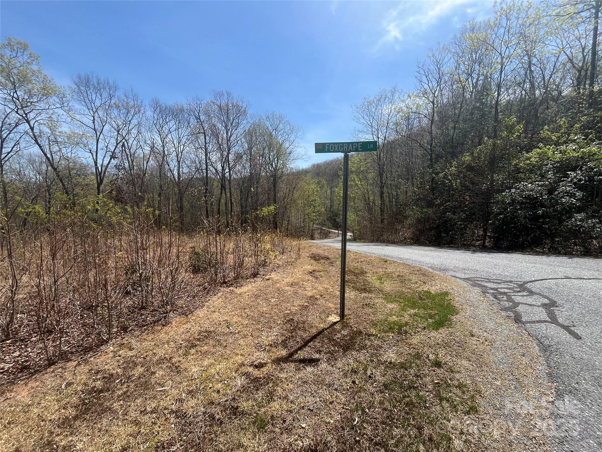 32 Wild Iris Road Brevard, NC 28712 - Photo 2 of 8