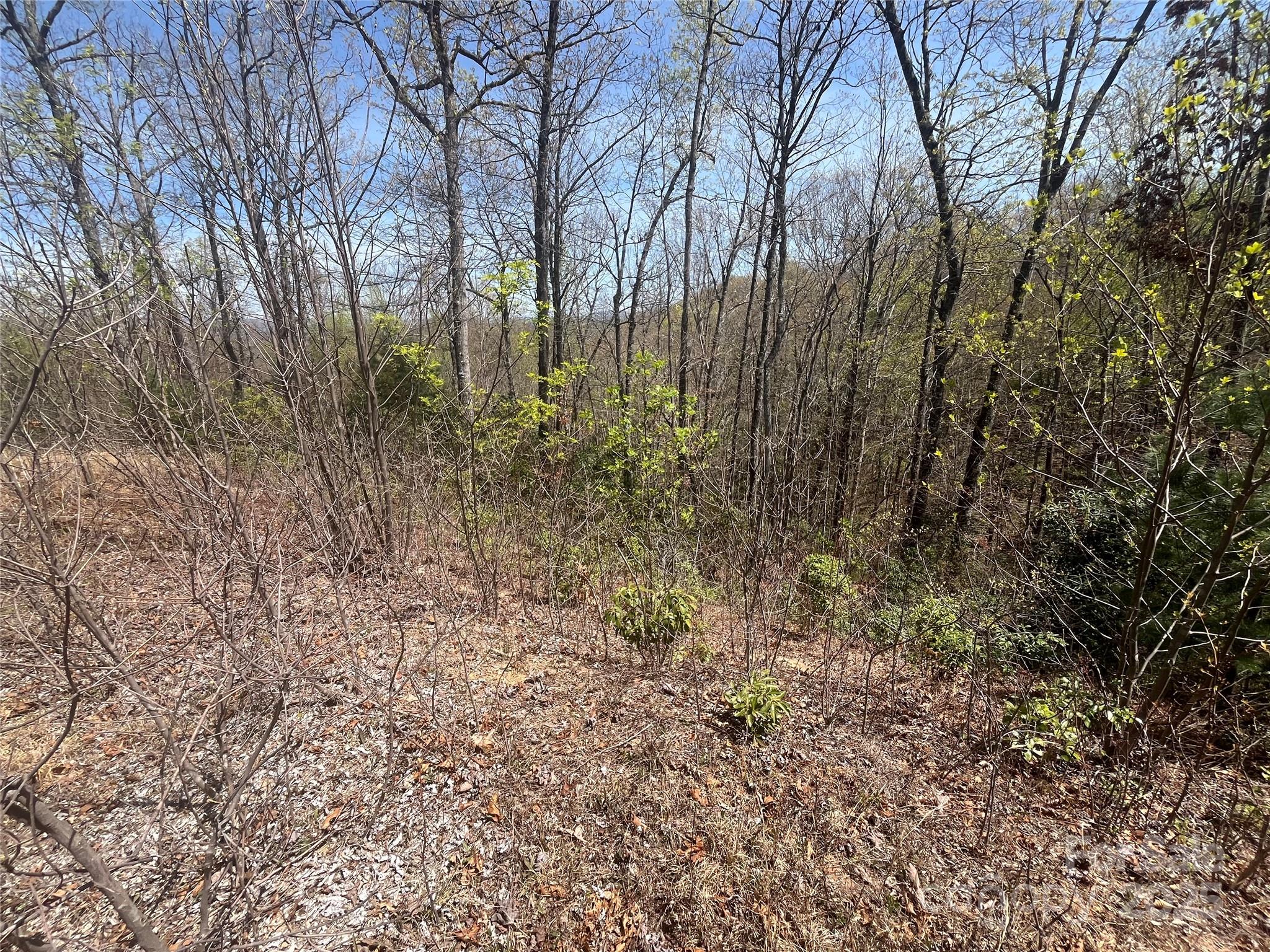 32 Wild Iris Road Brevard, NC 28712 - Photo 3 of 8