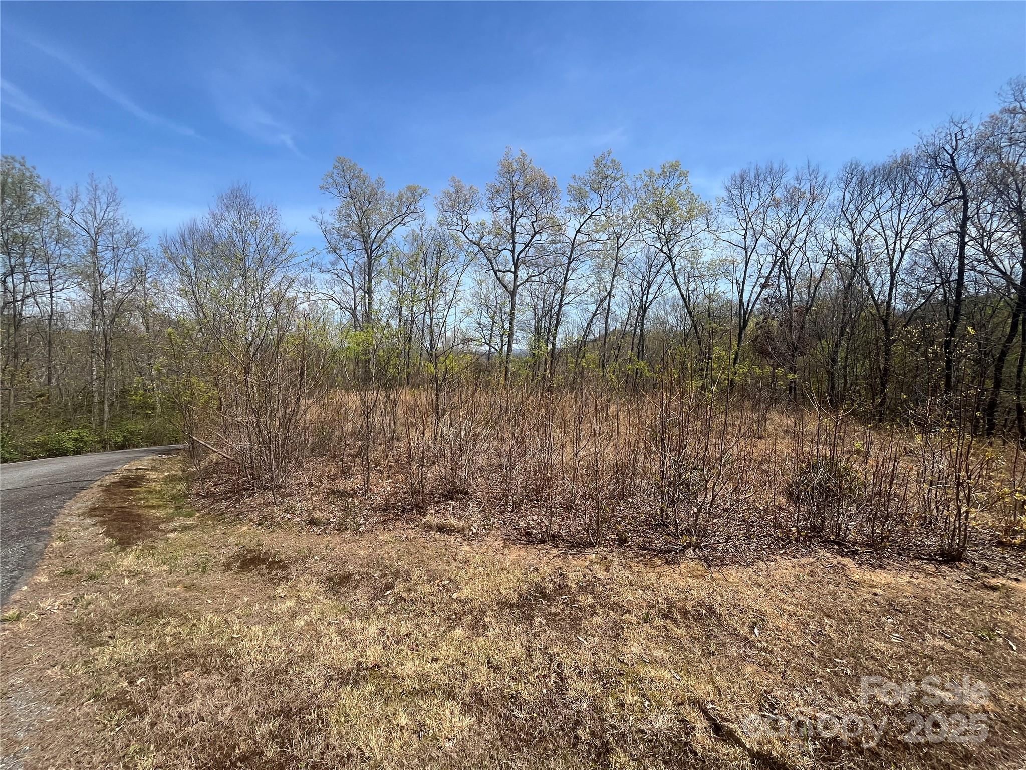 32 Wild Iris Road Brevard, NC 28712 - Photo 5 of 8