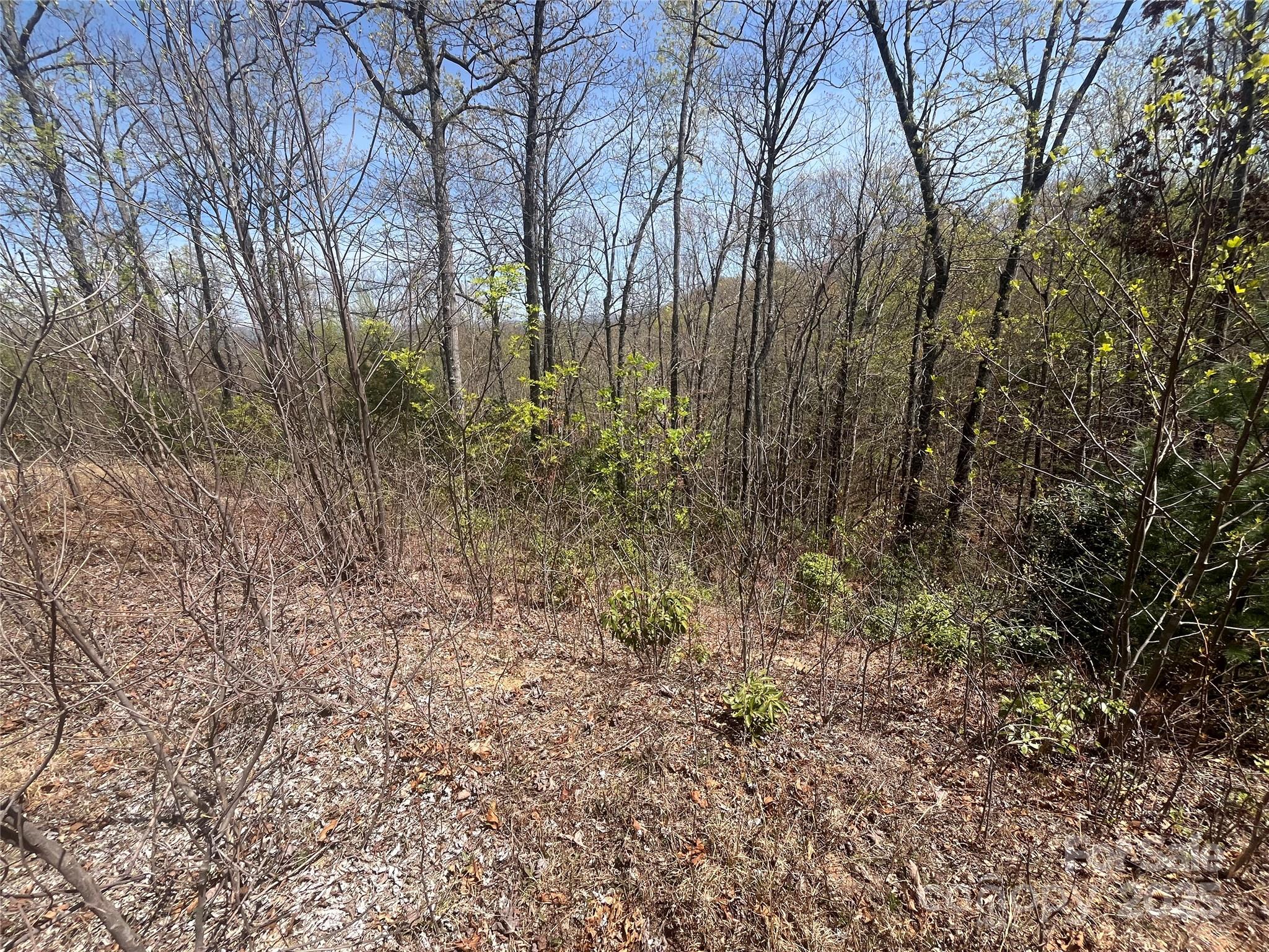 32 Wild Iris Road Brevard, NC 28712 - Photo 6 of 8