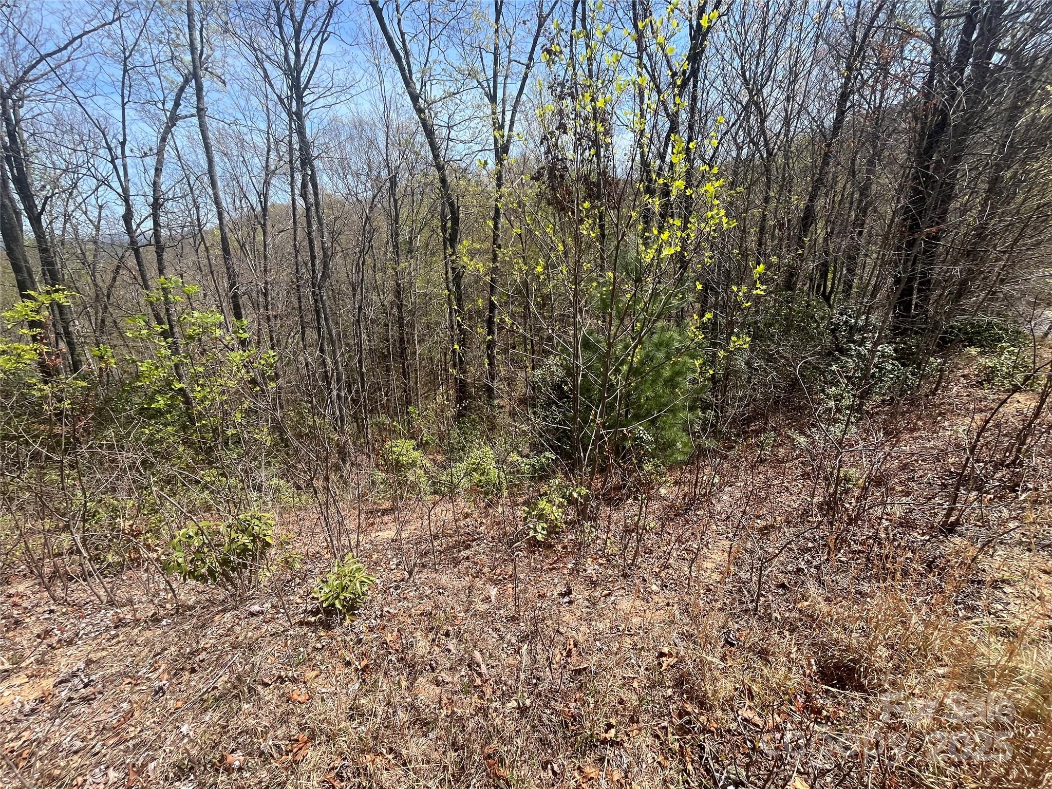 32 Wild Iris Road Brevard, NC 28712 - Photo 7 of 8