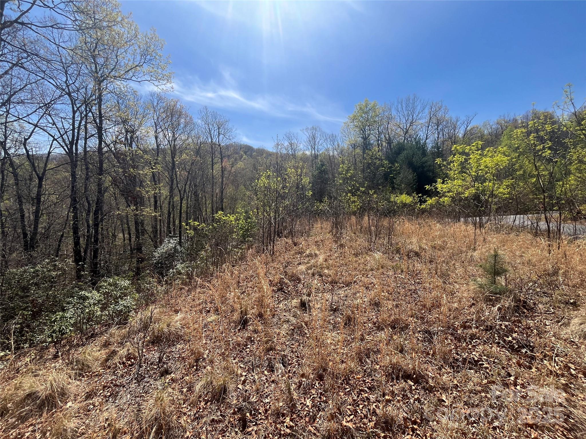 32 Wild Iris Road Brevard, NC 28712 - Photo 8 of 8