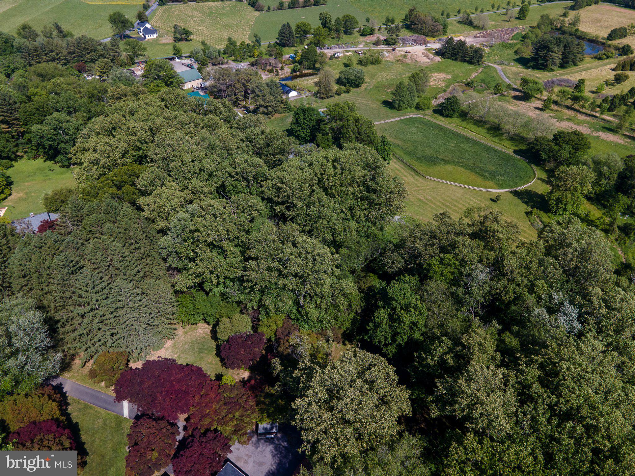 4619 Long Green Road Glen Arm, MD 21057 - Photo 63 of 74 Lush greenery surrounds serene landscapes.