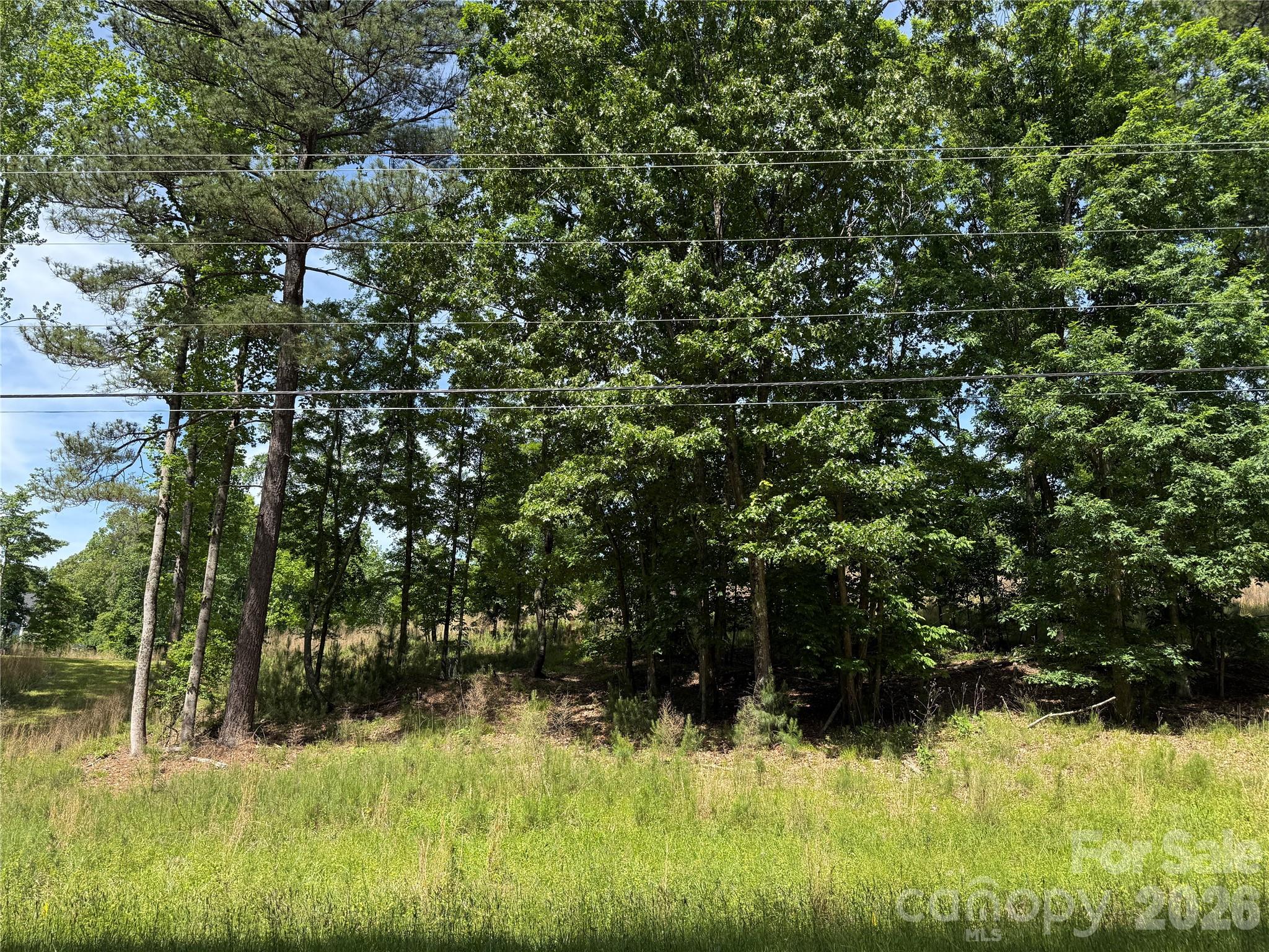 426 Morrison Farm Road Troutman, NC 28166 - Photo 13 of 15