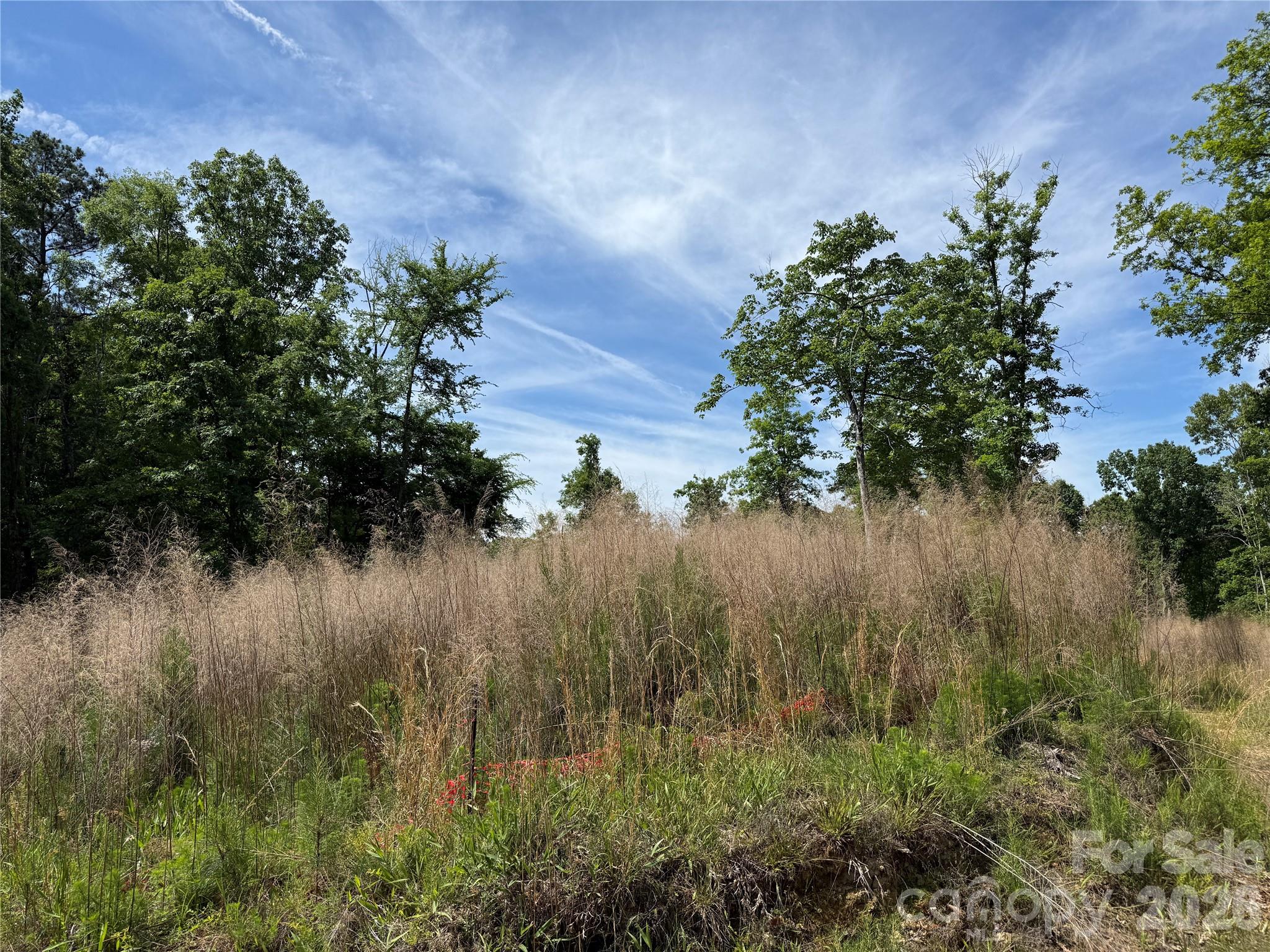 426 Morrison Farm Road Troutman, NC 28166 - Photo 15 of 15