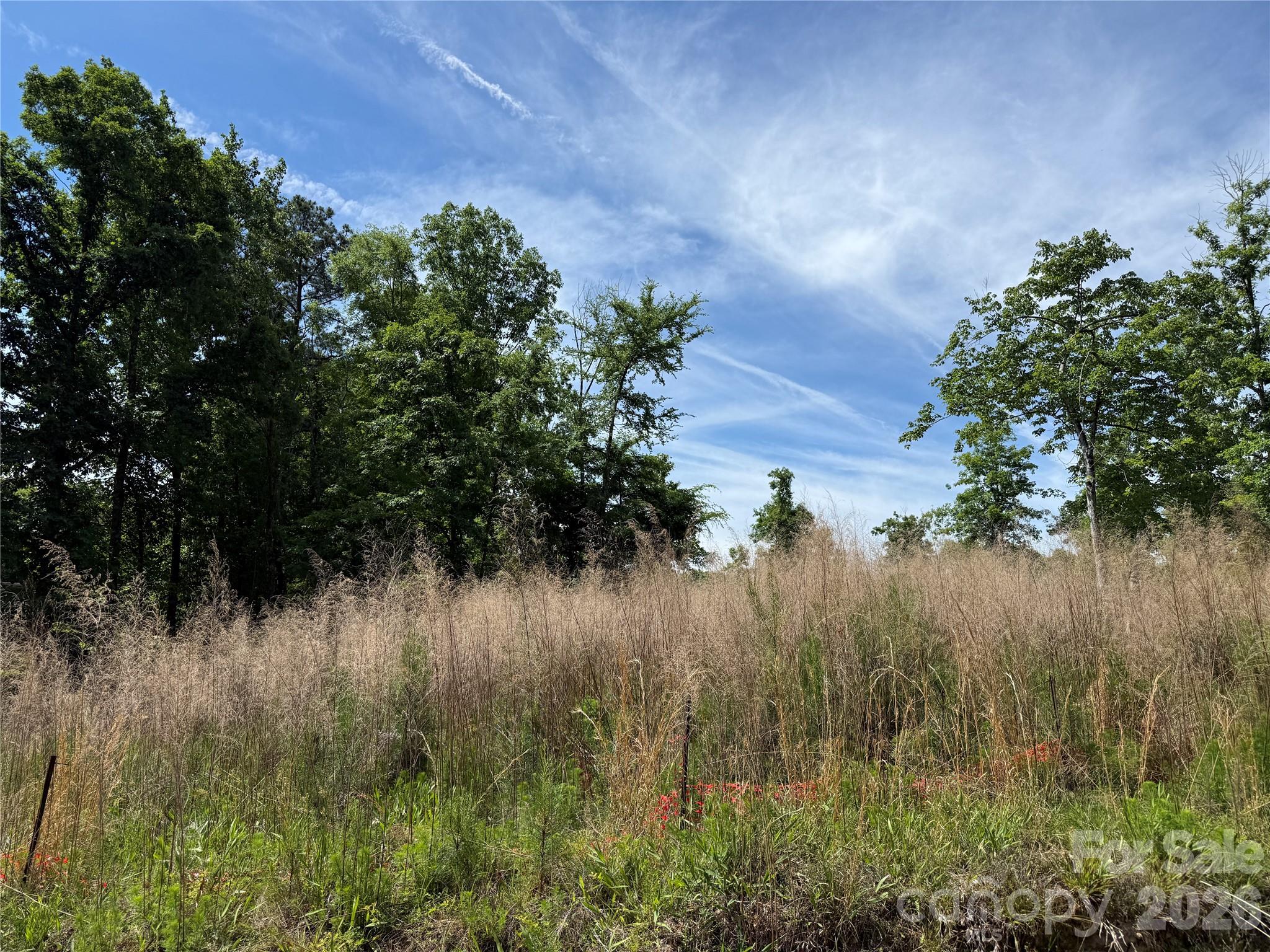 426 Morrison Farm Road Troutman, NC 28166 - Photo 2 of 15