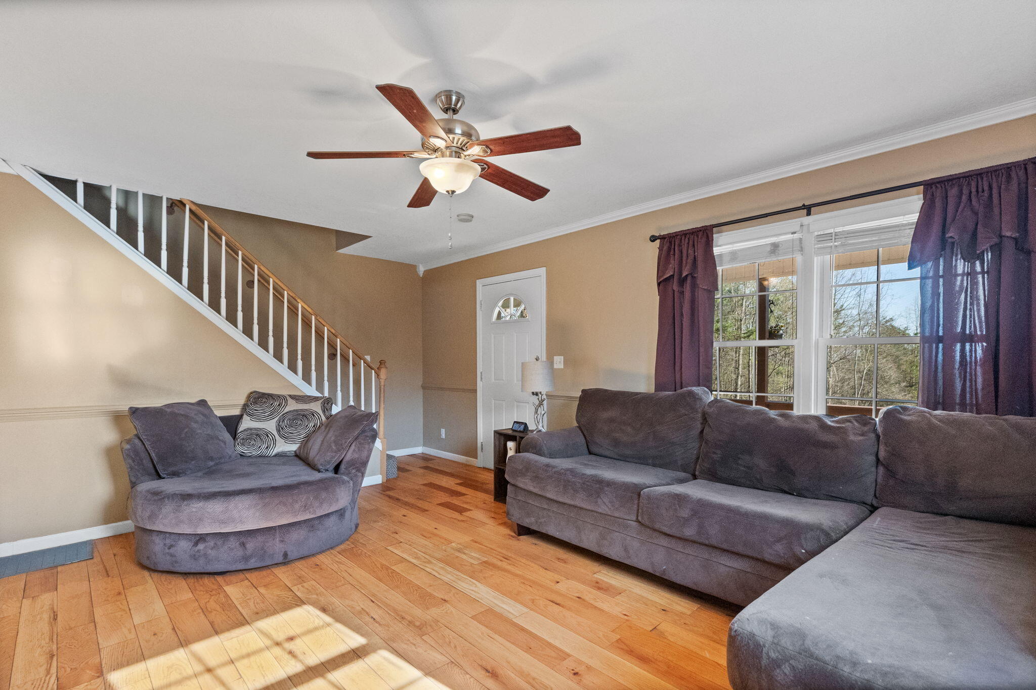230 Keller Road Afton, TN 37616 - Photo 4 of 58 4-web-or-mls-217A0822