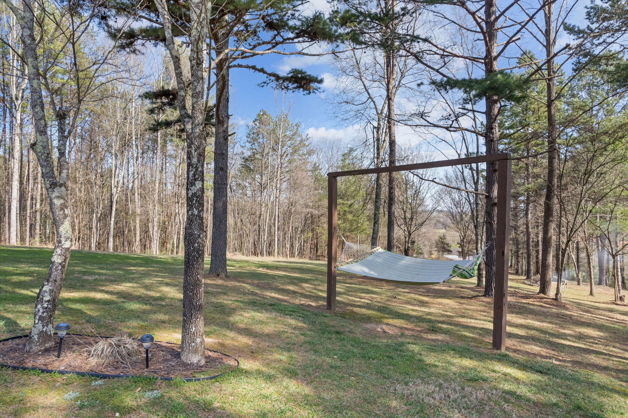 230 Keller Road Afton, TN 37616 - Photo 44 of 58 49-web-or-mls-DJI_0576