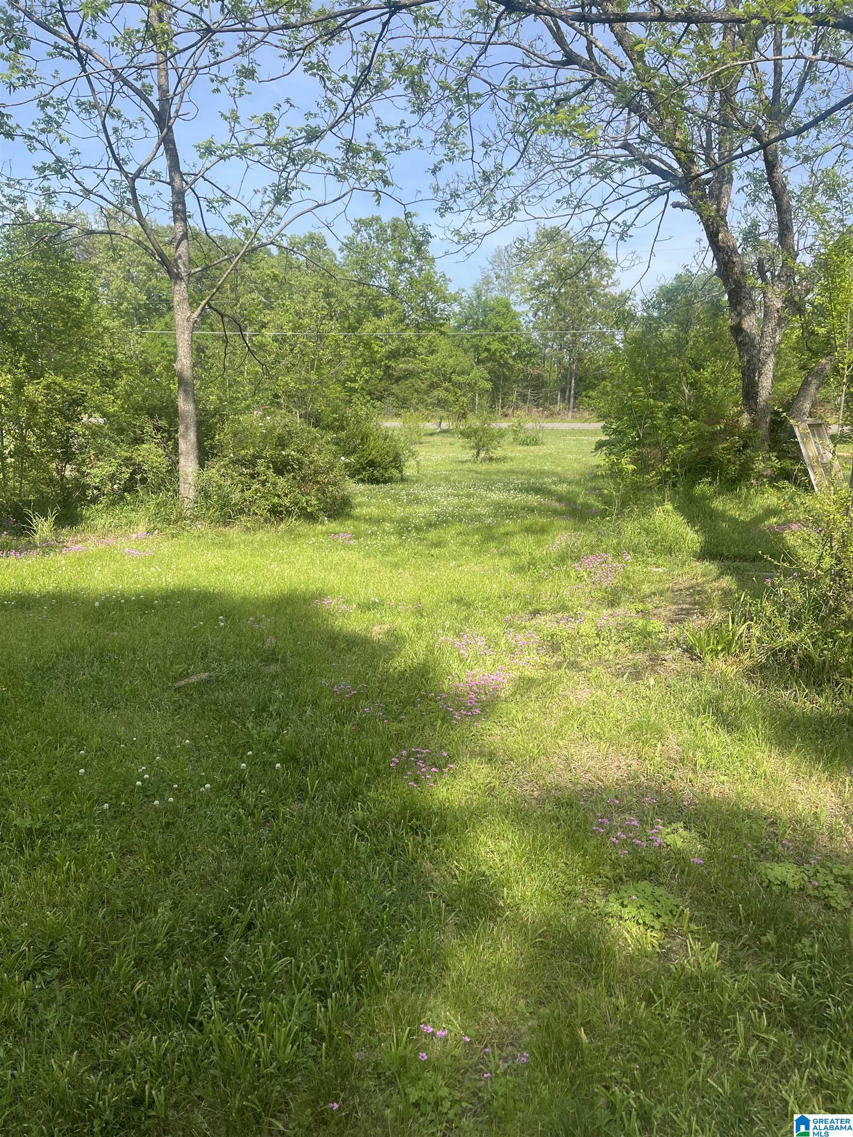 2274 Priebes Mill Road Oxford, AL 36203 - Photo 31 of 35