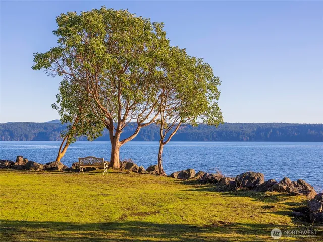 an outdoor space with furniture and garden