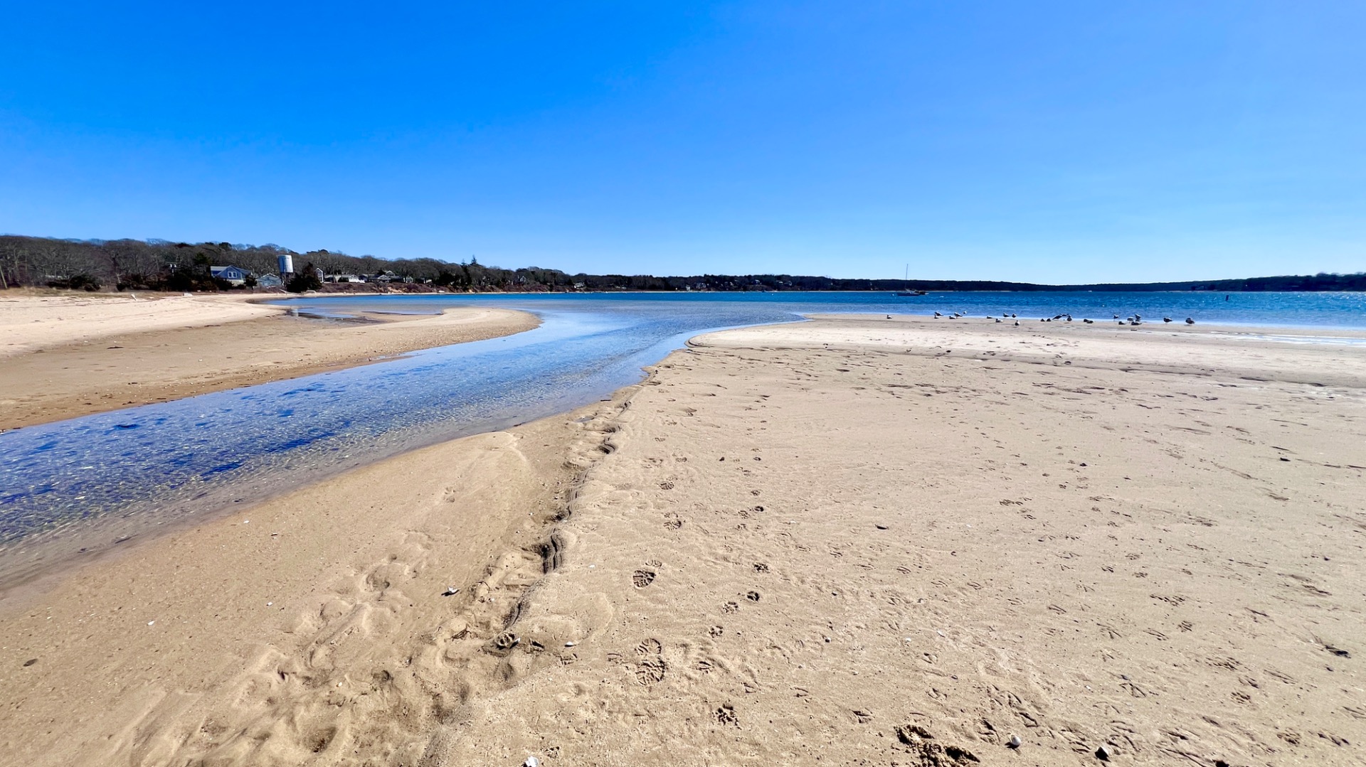 34 Windemere Road Oak Bluffs, MA 02557 - Photo 5 of 64