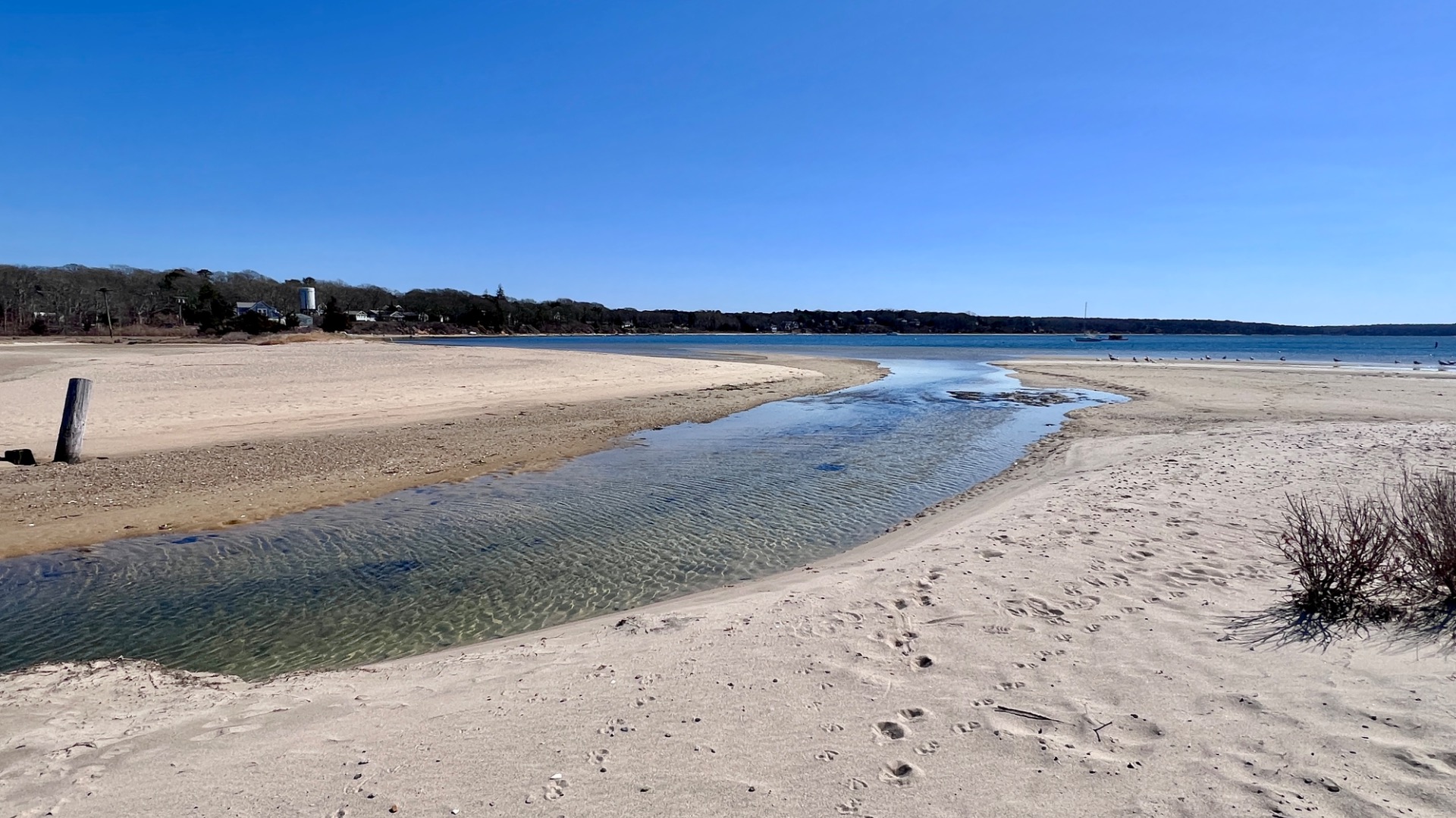 34 Windemere Road Oak Bluffs, MA 02557 - Photo 6 of 64
