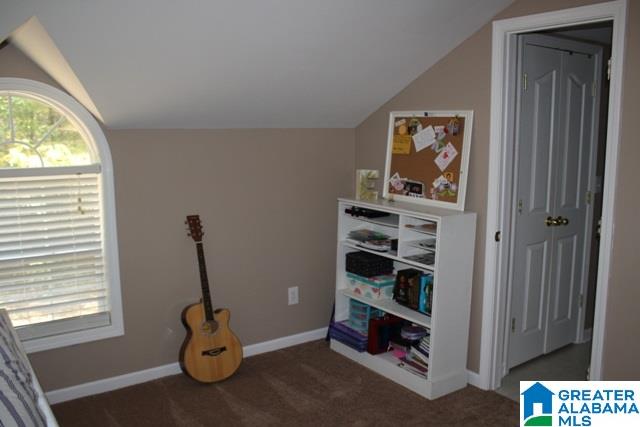250 Oak Valley Road Springville, AL 35146 - Photo 28 of 50 Gallery Image 28