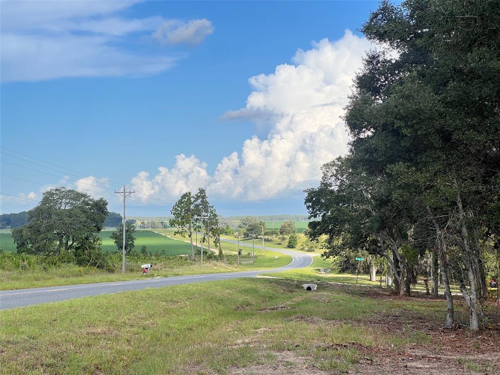 Levy Street Williston, FL 32696 - Photo 23 of 26