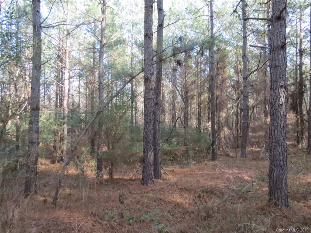 9.9-ac Cameron Road Chester, SC 29706 - Photo 3 of 9