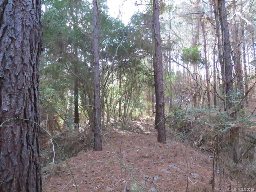 9.9-ac Cameron Road Chester, SC 29706 - Photo 8 of 9