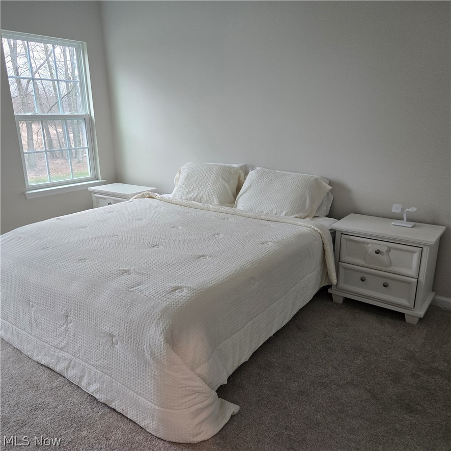 15229 Timber Ridge Drive Middlefield, OH 44062 - Photo 13 of 30 NICE SIZE MASTER BEDROOM OVERLOOKING BACKYARD.