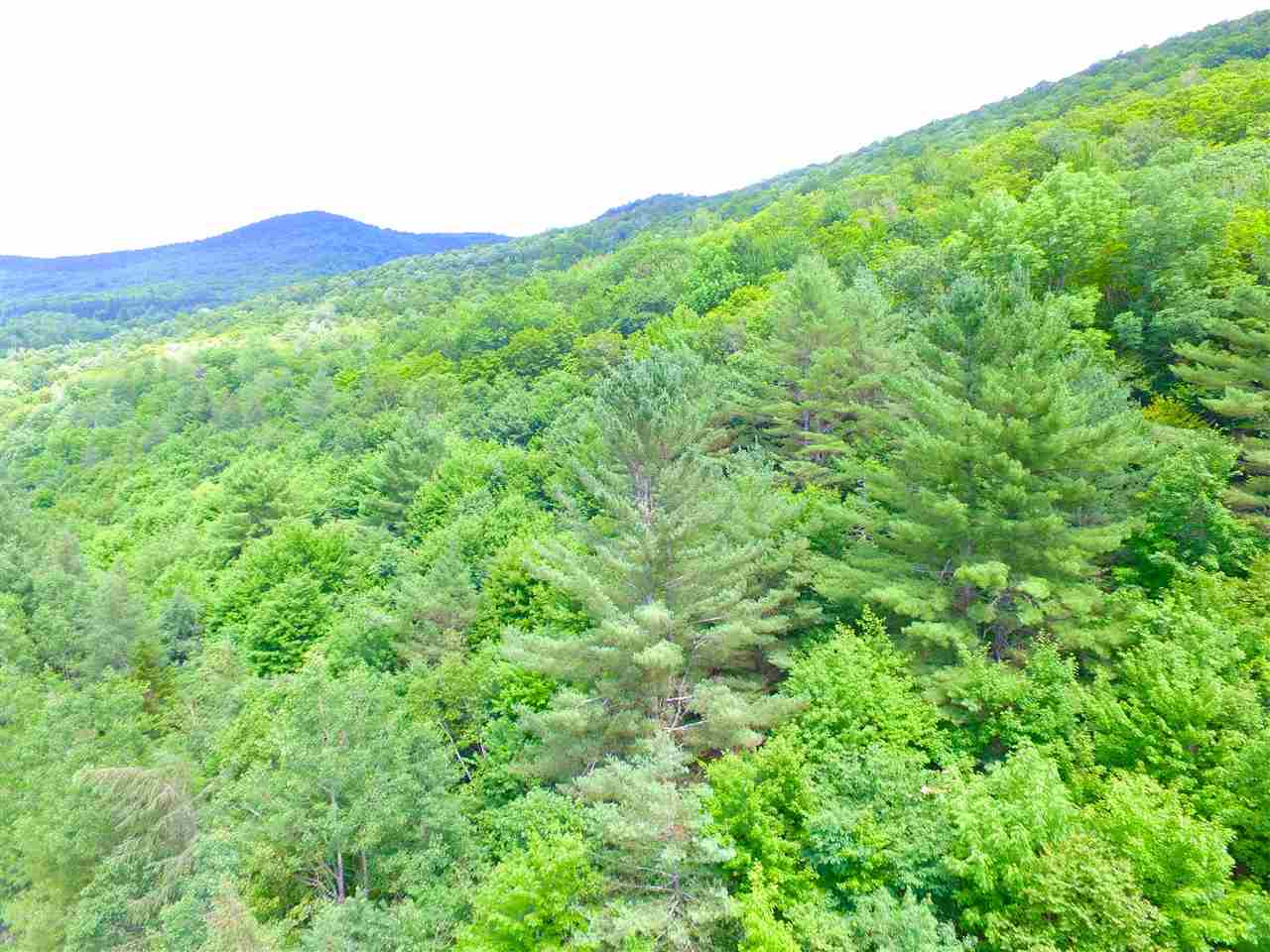 1231 River Road Killington, VT 05751 - Photo 7 of 40 Gallery Image 7