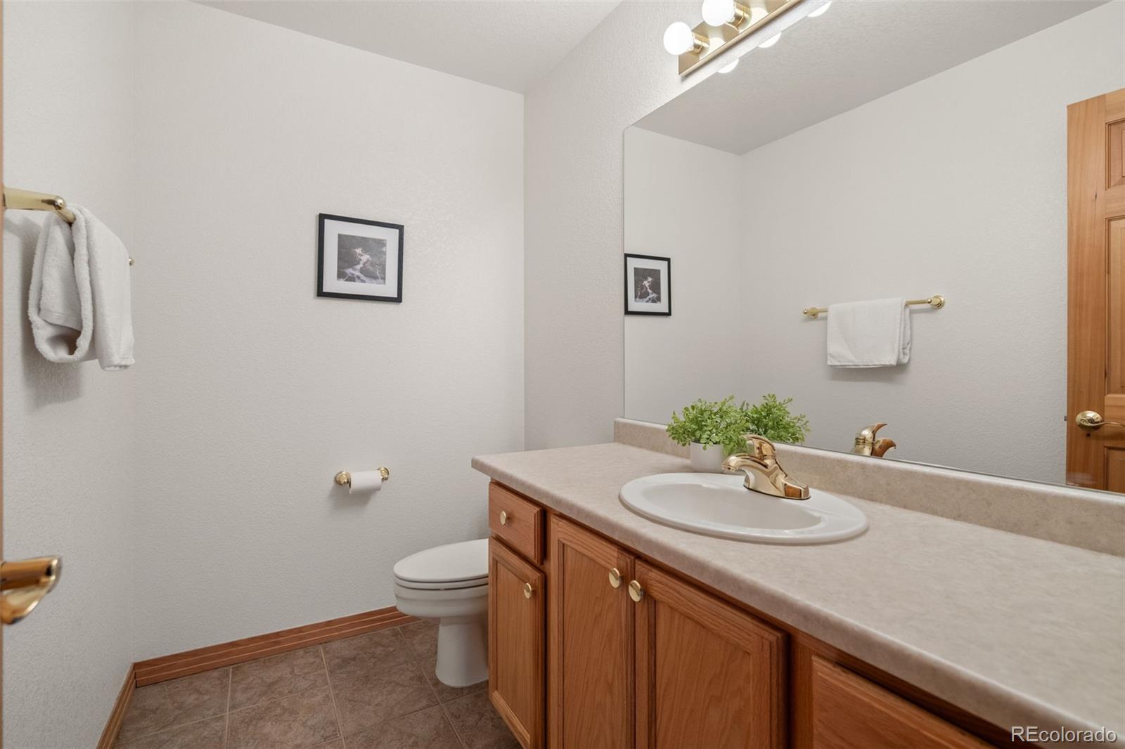 1363 Royal Ridge Drive Bailey, CO 80421 - Photo 22 of 50 Gallery Image 22