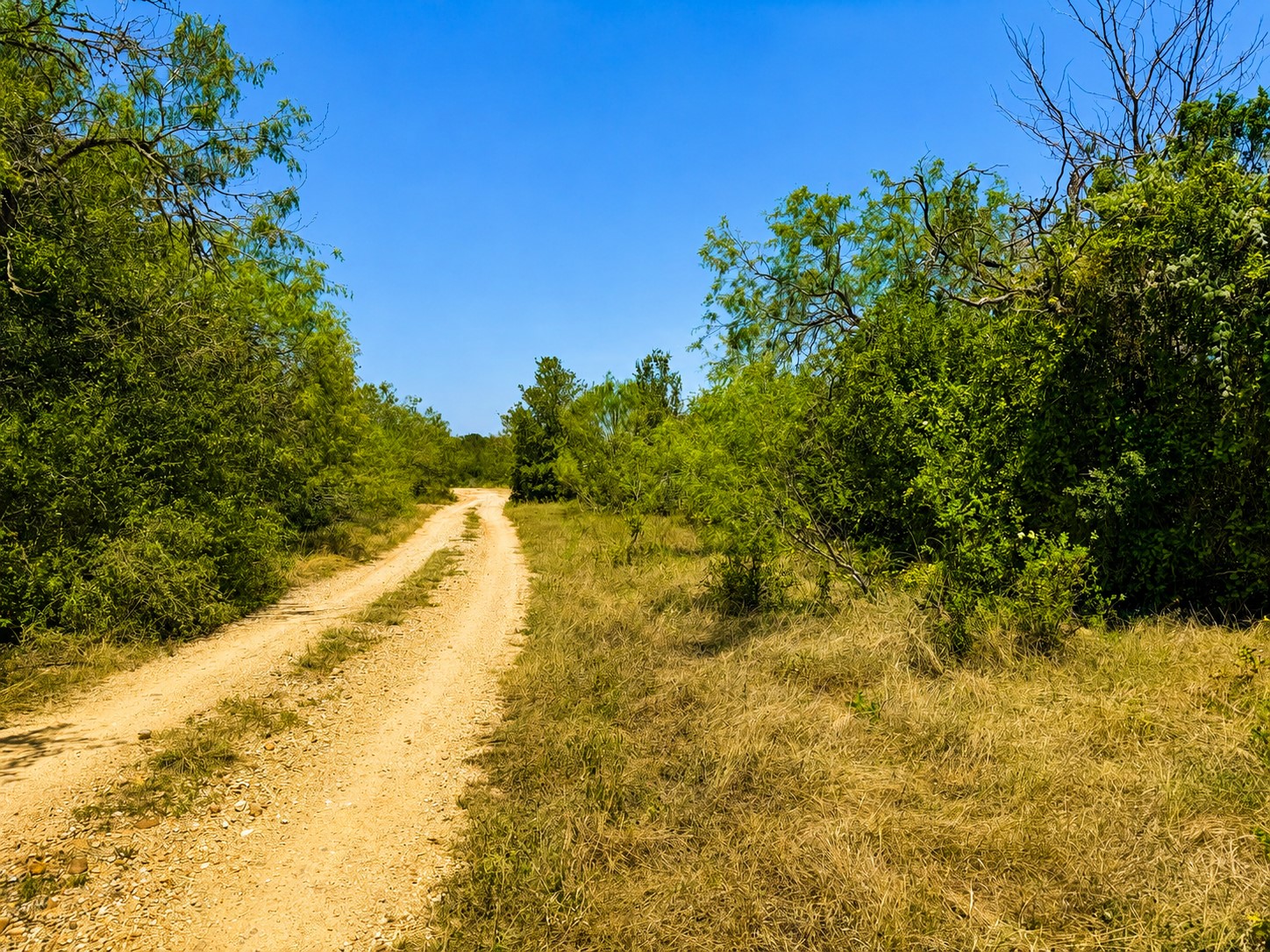 A winding dirt path leads through verdant brush under an open sky.