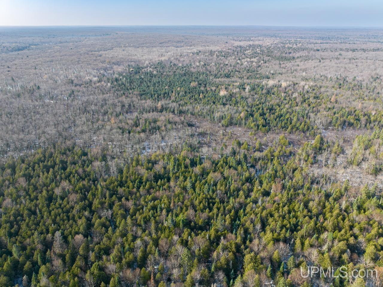 8183 Rd Marenisco Mi 49947 Road Wakefield, MI 49968 - Photo 1 of 14 Gallery Image 1