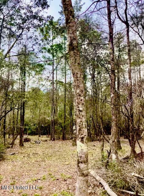 15429 Indian Fork Road Vancleave, MS 39565 - Photo 32 of 63 Trails Abound