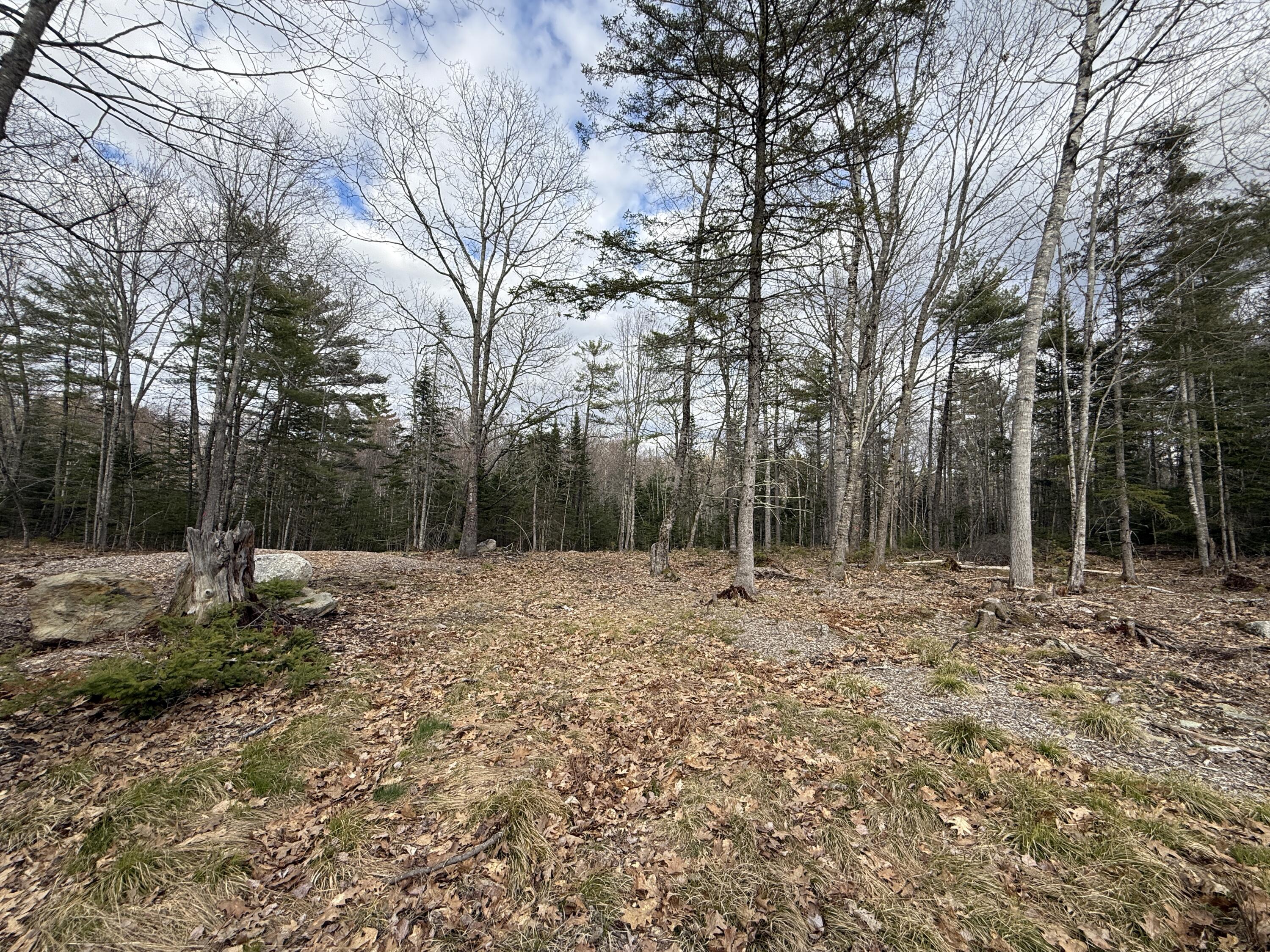 59 Sennet Way Ellsworth, ME 04605 - Photo 3 of 4 IMG_2233